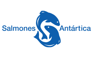 salmones-antartica